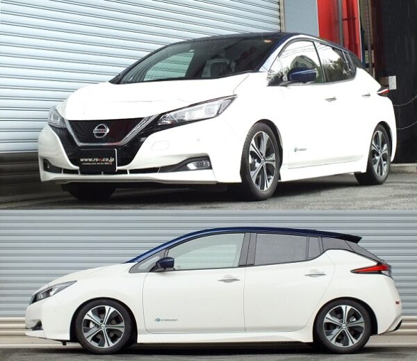 RS-R Best-i車高調 リーフ ZE1/FF H29/10～ G BIN502M - 画像 (2)