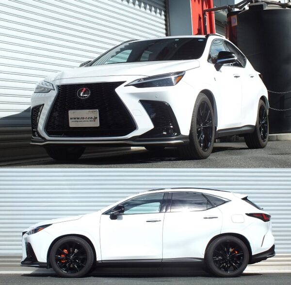RS-R Ti2000ダウンサス レクサスＮＸ３５０ TAZA25/4WD R3/11～ Ｆスポーツ T539TD - 画像 (2)