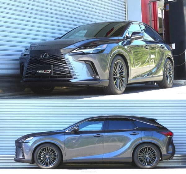 RS-R Super-i車高調(スーパーアイ) レクサスＲＸ３５０ TALA15/4WD R4/11～ バージョンＬ SIT232M - 画像 (2)